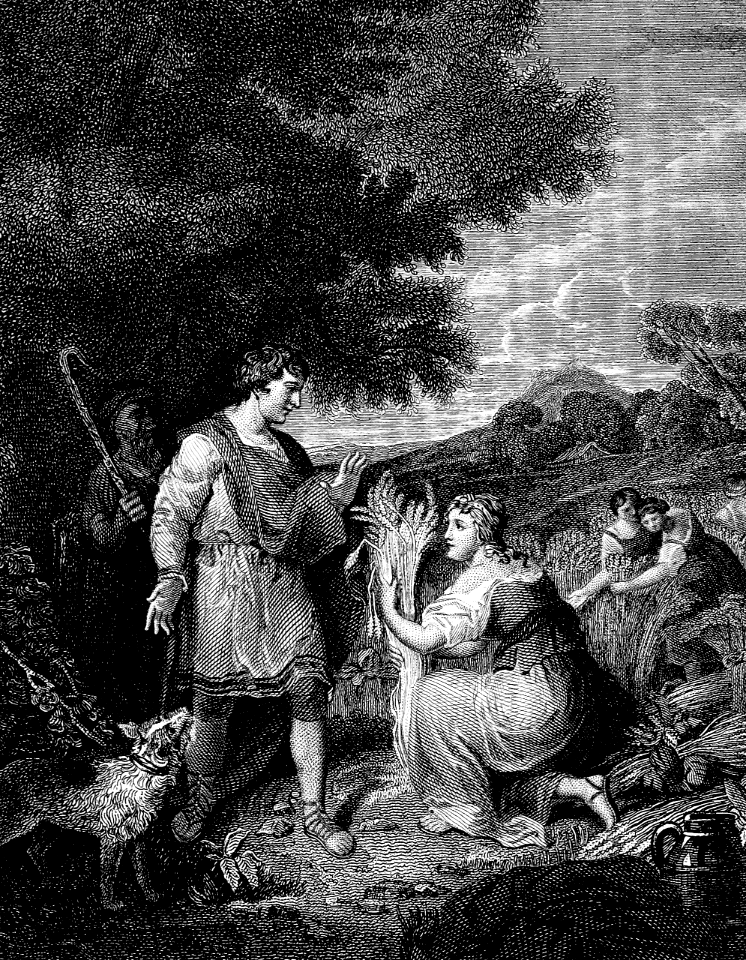 04 Ruth - Boaz meets Ruth gleaning in his Field