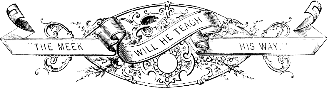 Banner - The Meek Will He Teach His Way