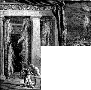50 Veil Rent