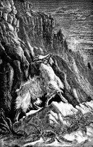 17 Scapegoat in the Wilderness