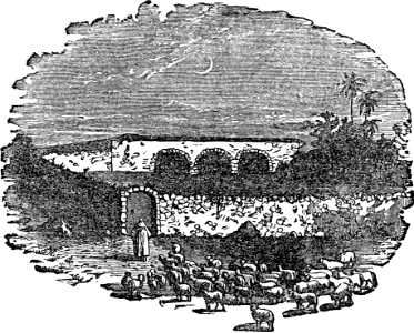 Sheep-fold