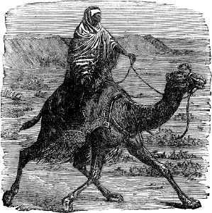 Riding a Camel