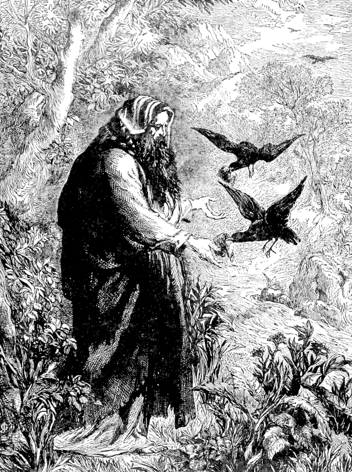 29 Elijah fed by Ravens - Free Stock Illustrations | Creazilla