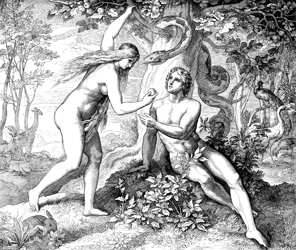008 Genesis 03 v06 - The Temptation and Fall
