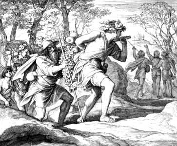 058 Numbers 13 v24-26 - The Spies return from Canaan