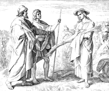 085 Ruth 02 v08-09 - Ruth gleans in the Field of Boaz