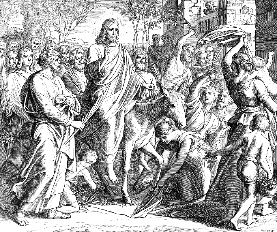 45 Matthew 21 v8-9 - Triumphal Entry into Jerusalem