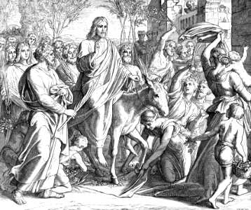 45 Matthew 21 v8-9 - Triumphal Entry into Jerusalem