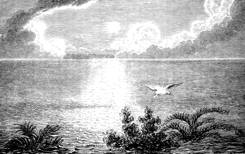 08 Genesis 08 v11 - The Receding of the Flood Waters