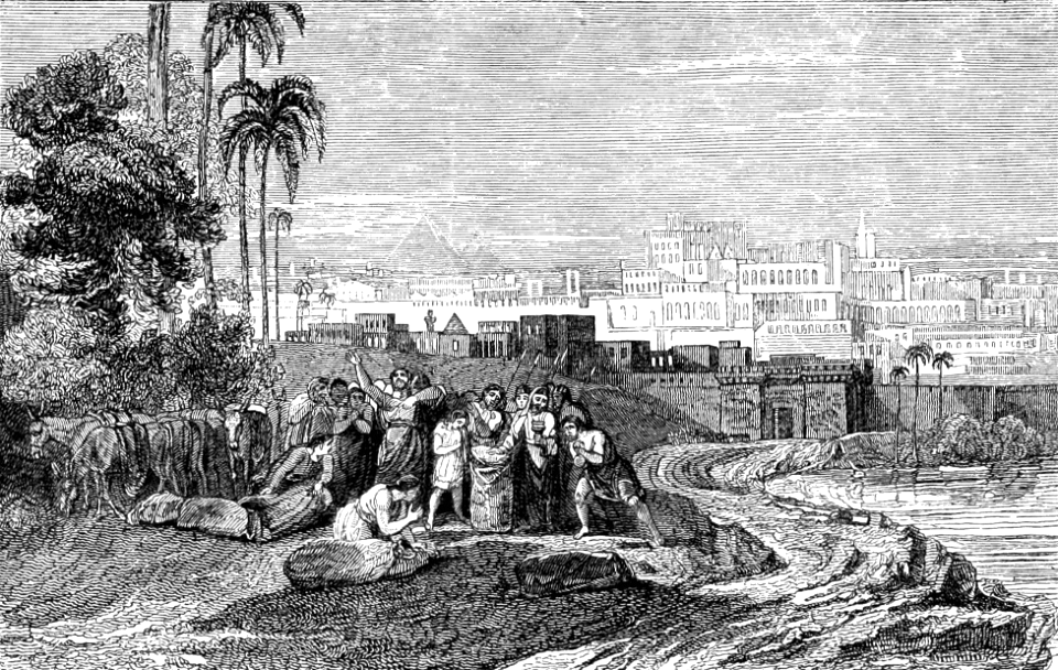25 Genesis 44 v12 - The Cup was found in Benjamins Sack