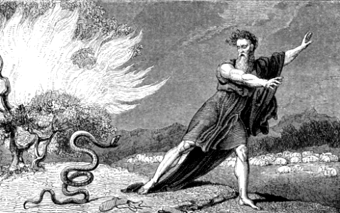 30 Exodus 04 - Moses at the Burning Bush - Rod turns into Serpent