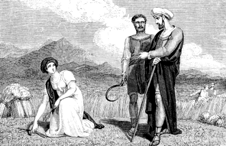 55 Ruth 02 - Ruth gleaning in the field of Boaz