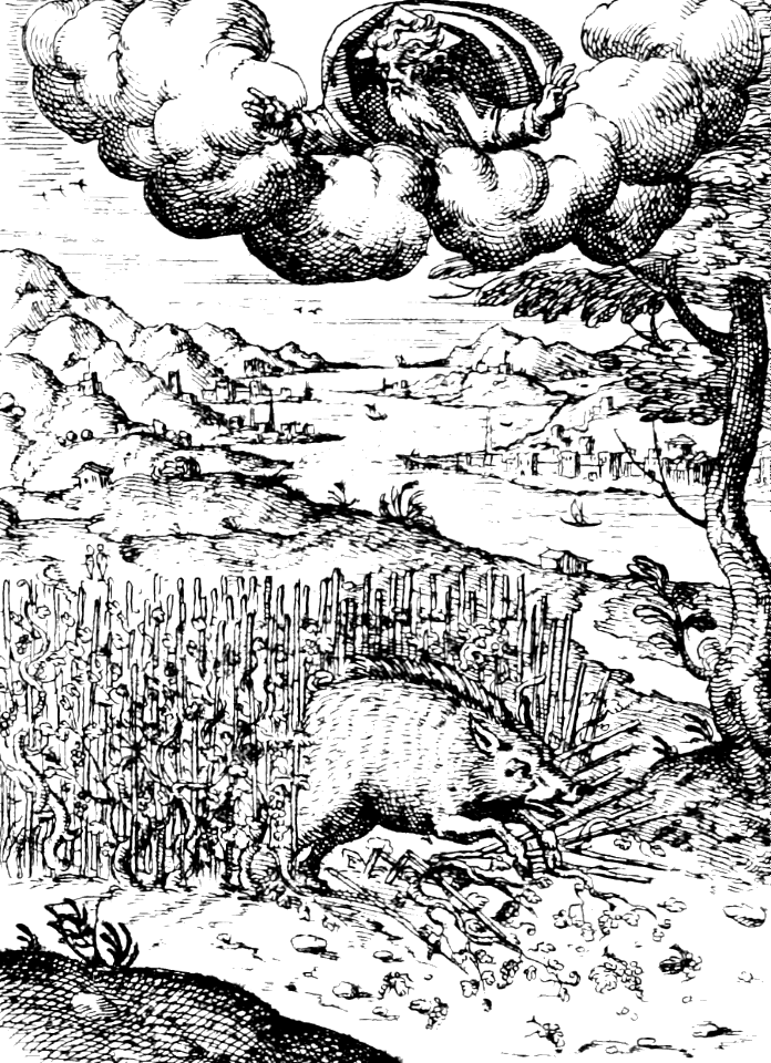 05 Psalm 80 - The Boar out of the Wood does waste Gods Vine