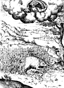 05 Psalm 80 - The Boar out of the Wood does waste Gods Vine