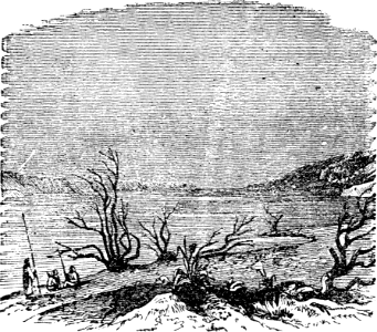 04 The Dead Sea seen from the North