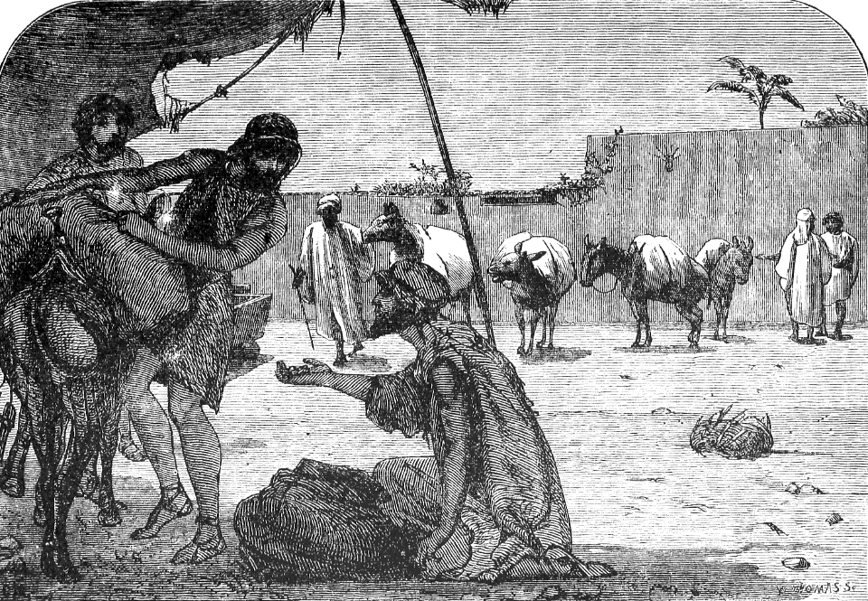 15 The Money found in the sacks of Josephs brethren