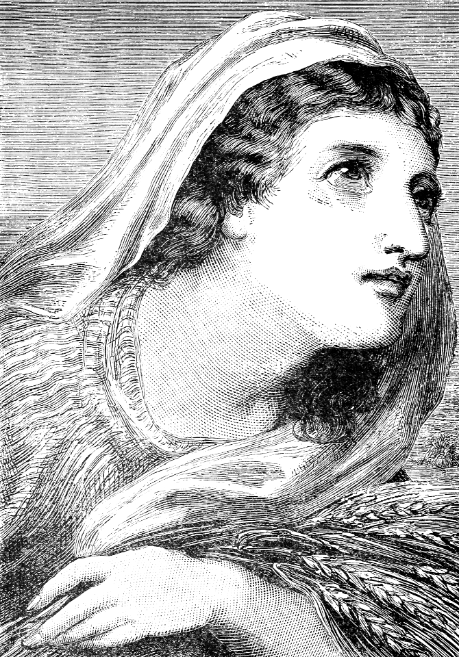 41 Ruth