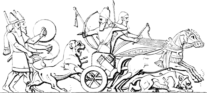 Lion Hunting