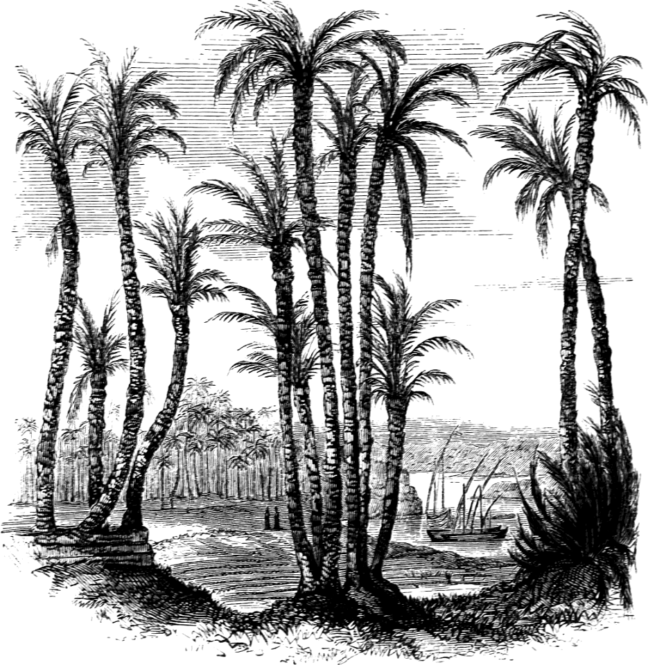 Nile