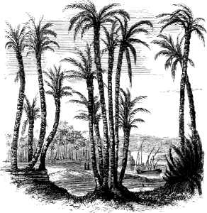 Nile