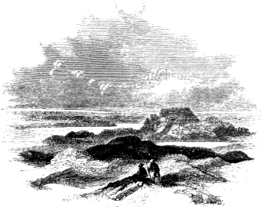 Euphrates