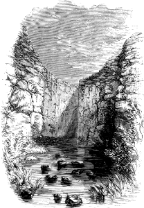 Arnon River