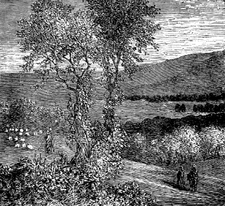 A Shepherd with his Flock