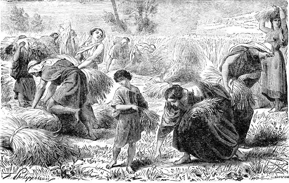 Harvest Scene in Ancient Palestine