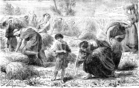 Harvest Scene in Ancient Palestine