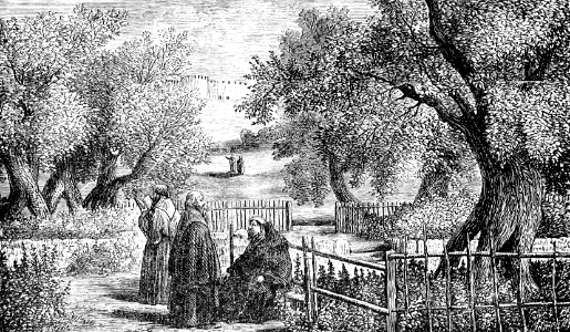 Garden of Gethsemane (modern-day)