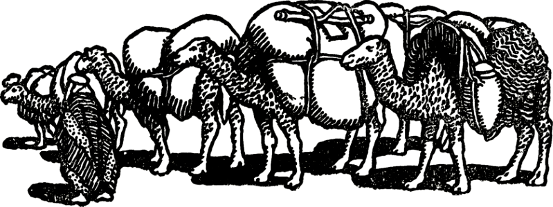 08 Camels loaded for Travel (Jacob going to Egypt). Free illustration for personal and commercial use.