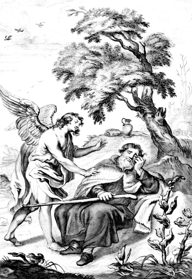 1 Kings 19 v5-7 An Angel brings Elijah food
