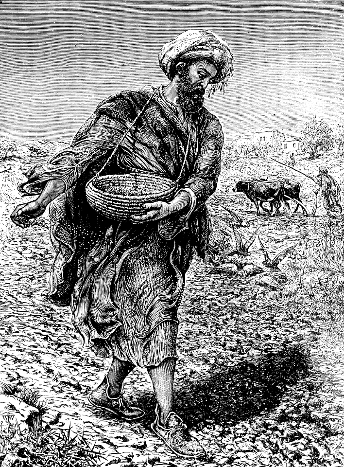 11 Sowing the Seed