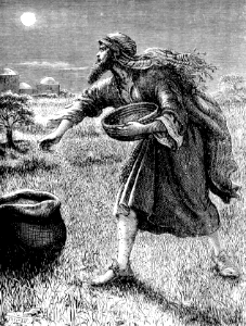 12 The Enemy Sowing Tares