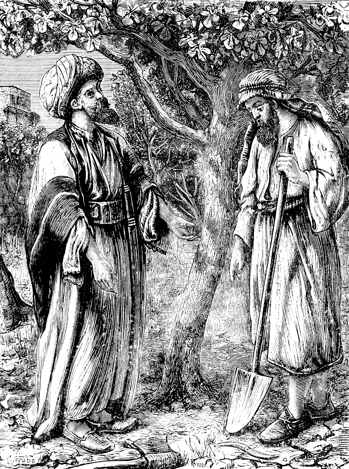10 The Unfruitful Tree