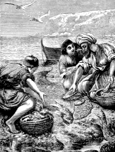 16 The Parable of the Net