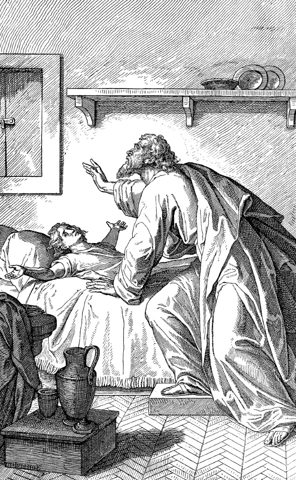 41 Elijah brings to life the Son of the Widow