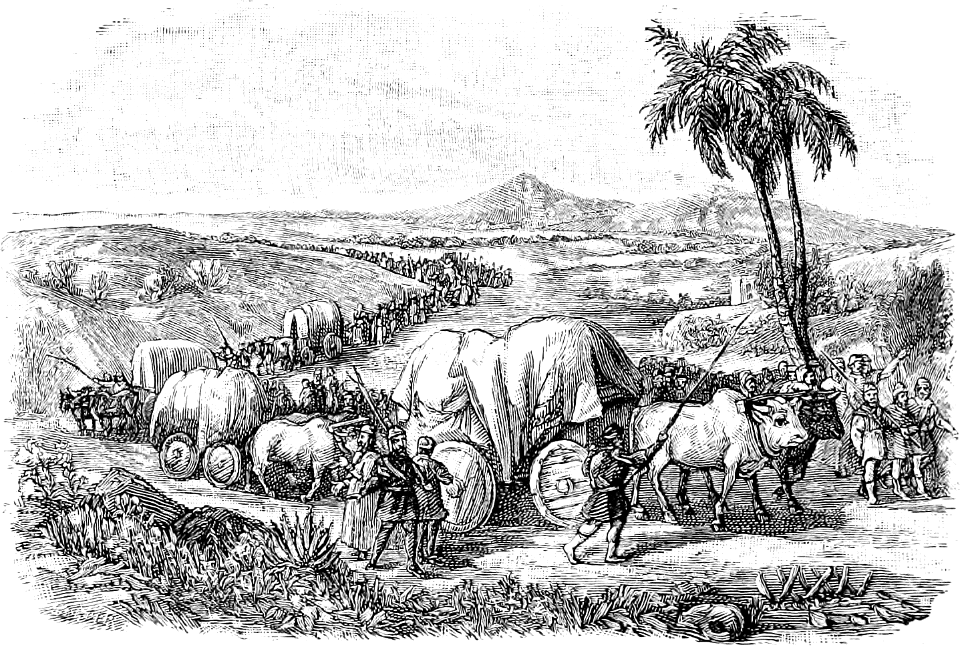 26 Israelites travelling to the Promised Land
