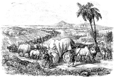 26 Israelites travelling to the Promised Land