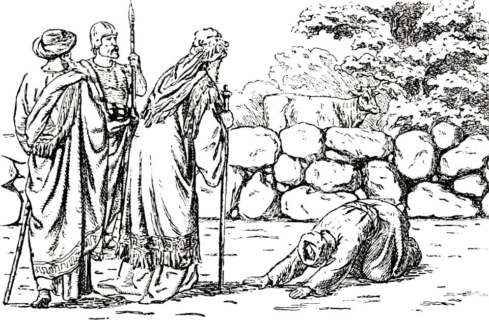26 David buying the Threshing Floor