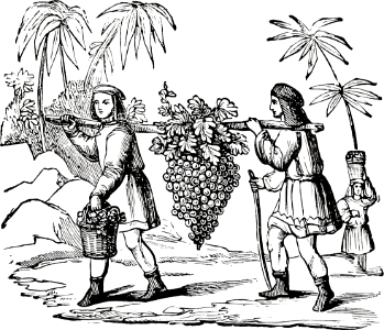 04 Numbers 13 v23-24 - Two Spies with the Grapes