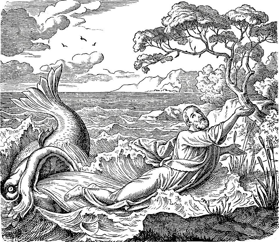 06 Jonah 02 - The Whale spits out Jonah on the Dry Land