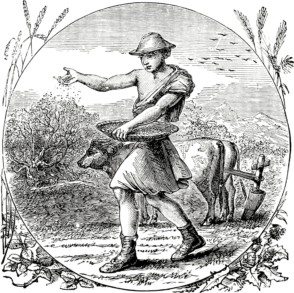 Plowing and Sowing