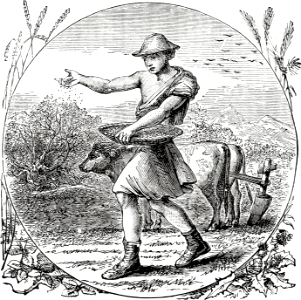 Plowing and Sowing