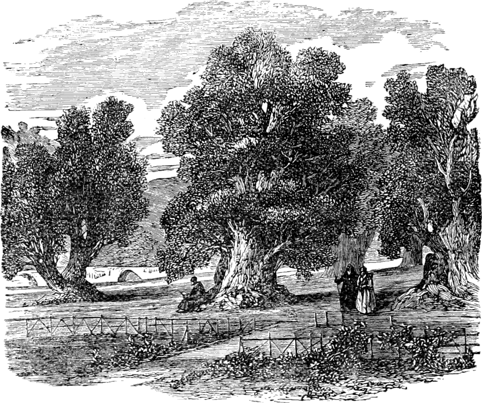 Gethsemane