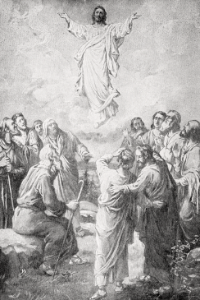 10 The Ascension of Christ (Acts 1 v11)