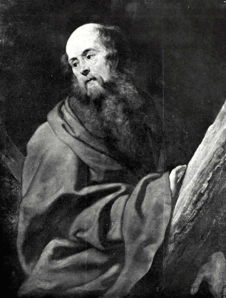 14 Andrew (Rubens)