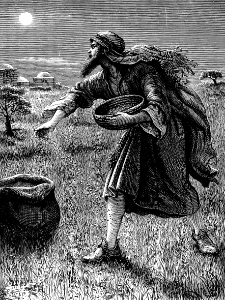 21 An Enemy sows Tares among the Wheat