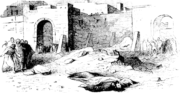 72 Paul stoned at Lystra and left for Dead