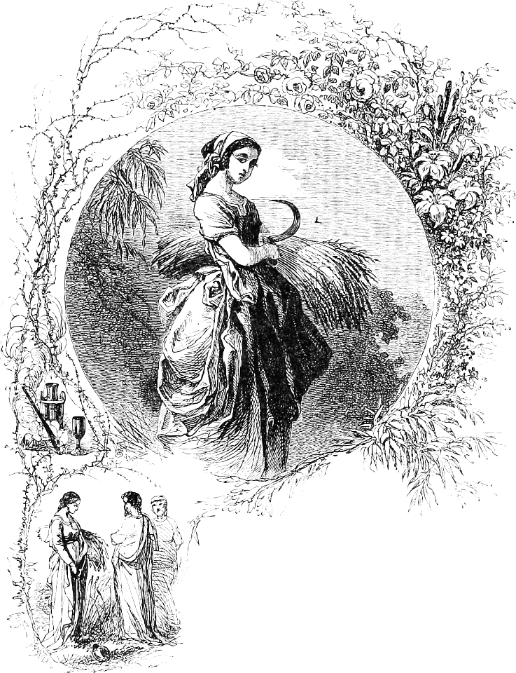 083 Ruth gleaning in the field of Boaz